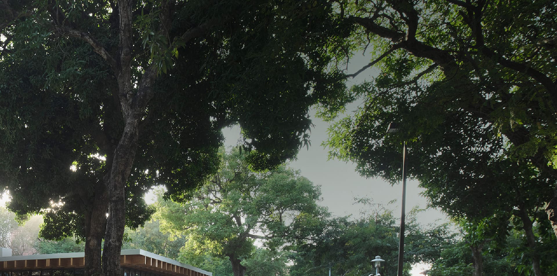成功大學-新園