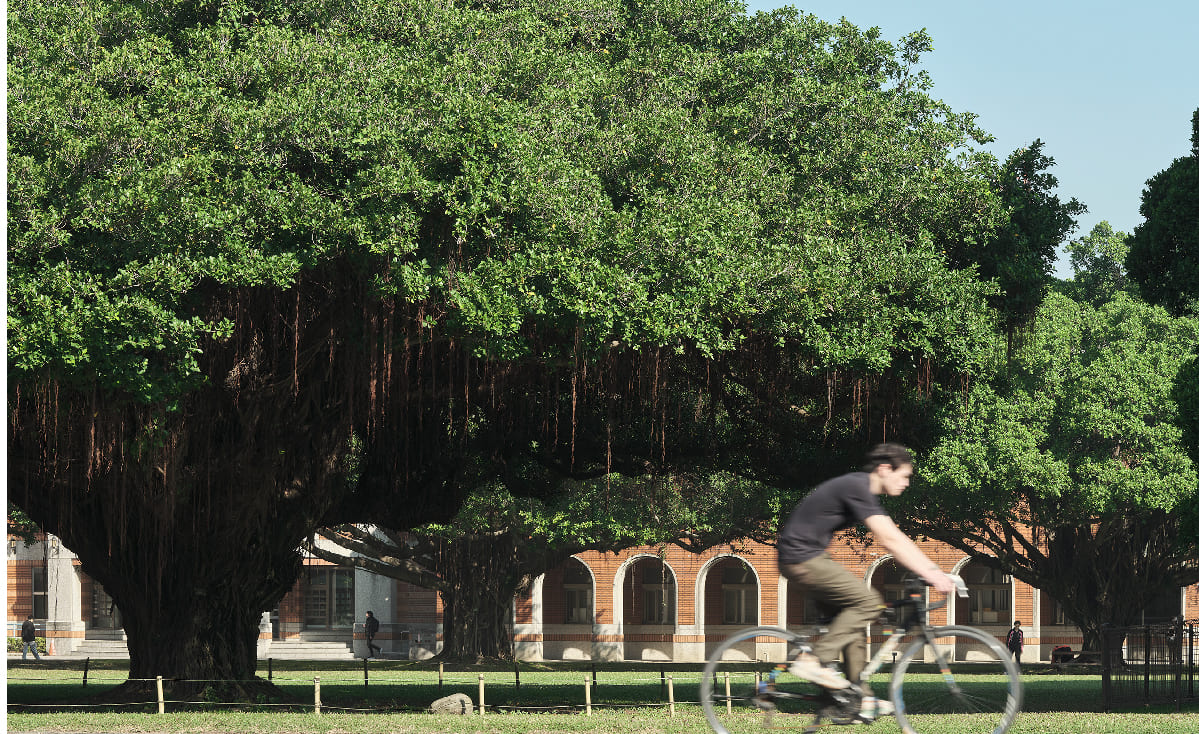 成大首排 公園首馥